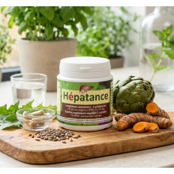 Hépatance 120 gélules