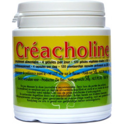 Créacholine 120 gél