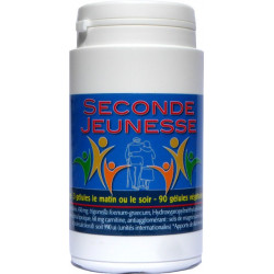 Seconde Jeunesse