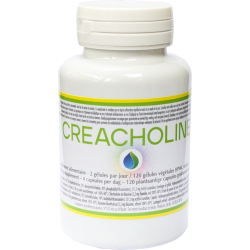 Créacholine 120 gél