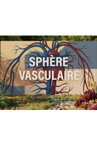 Sphère vasculaire