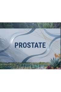Prostate